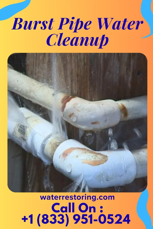 Burst Pipe Water Cleanup in Standard City, IL