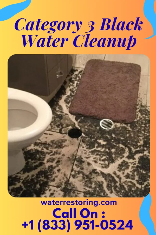 Category 3 Black Water Cleanup in Standard City, IL