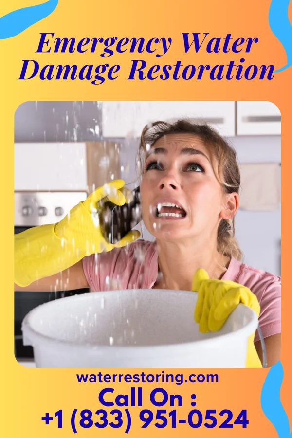 Emergency Water Damage Restoration in Standard City, IL