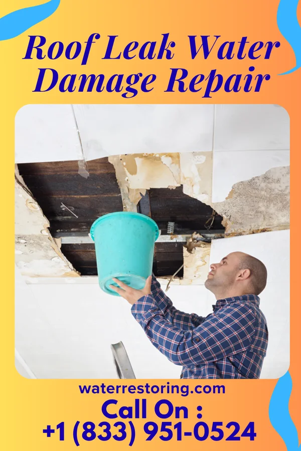 Roof Leak Water Damage Repair in Standard City, IL
